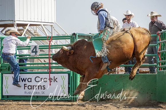 210731_1464-2 ... Brahmer Gaehring