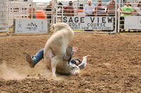 2026 Mutton Busting & Wild Pony Racing