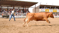 2026 Wild Cow Racing