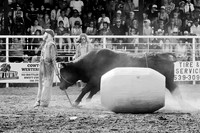 2026 Herbert Stampede